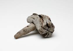 Hammer, Fundort: Mühlbach am Hochkönig, Mitterberg, Bronzezeit, 2200–1200 v. Chr., Holz, Salzburg Museum, Inv.-Nr. ARCH 1562